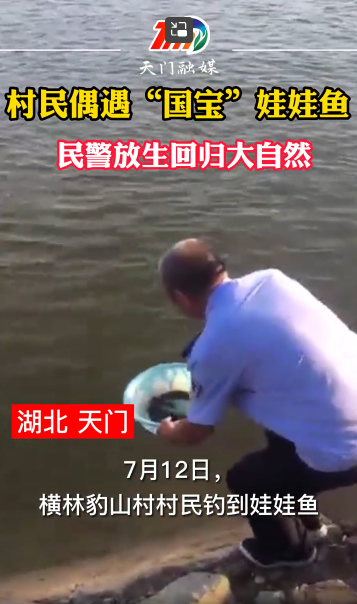 民警放生娃娃魚