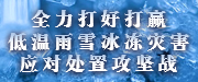 全力打好打贏低溫雨雪冰凍災(zāi)害應(yīng)對處置攻堅戰(zhàn)